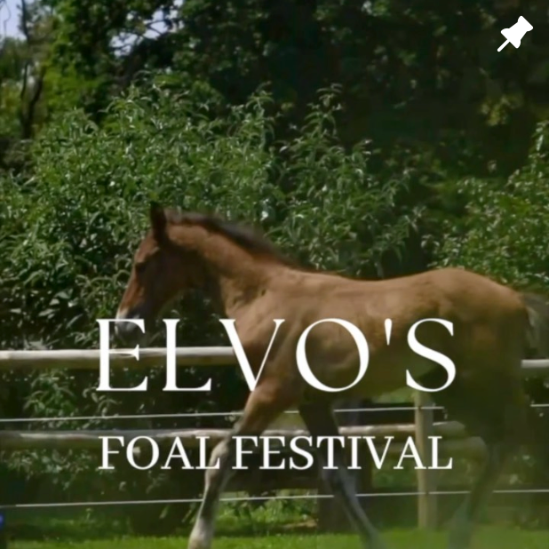 Image from Instagram