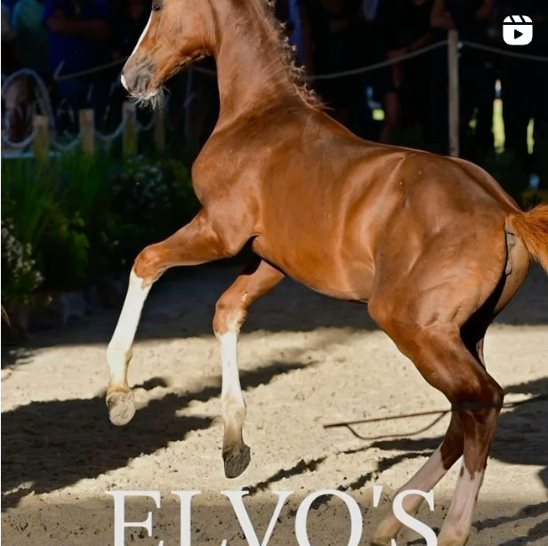 Image from Instagram