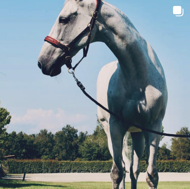 Image from Instagram