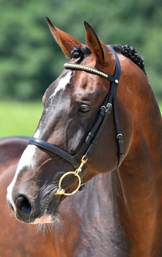 CULLINAN DU BORGET B