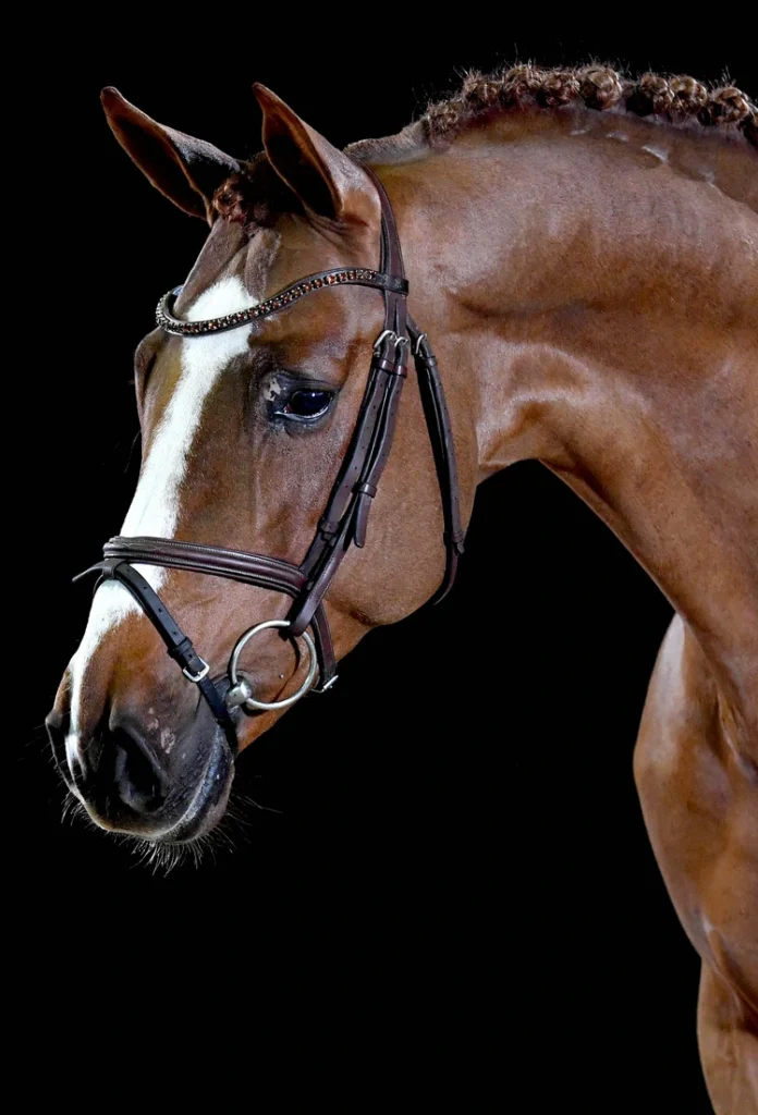 DIAMANT VAN KLAPSCHEUT