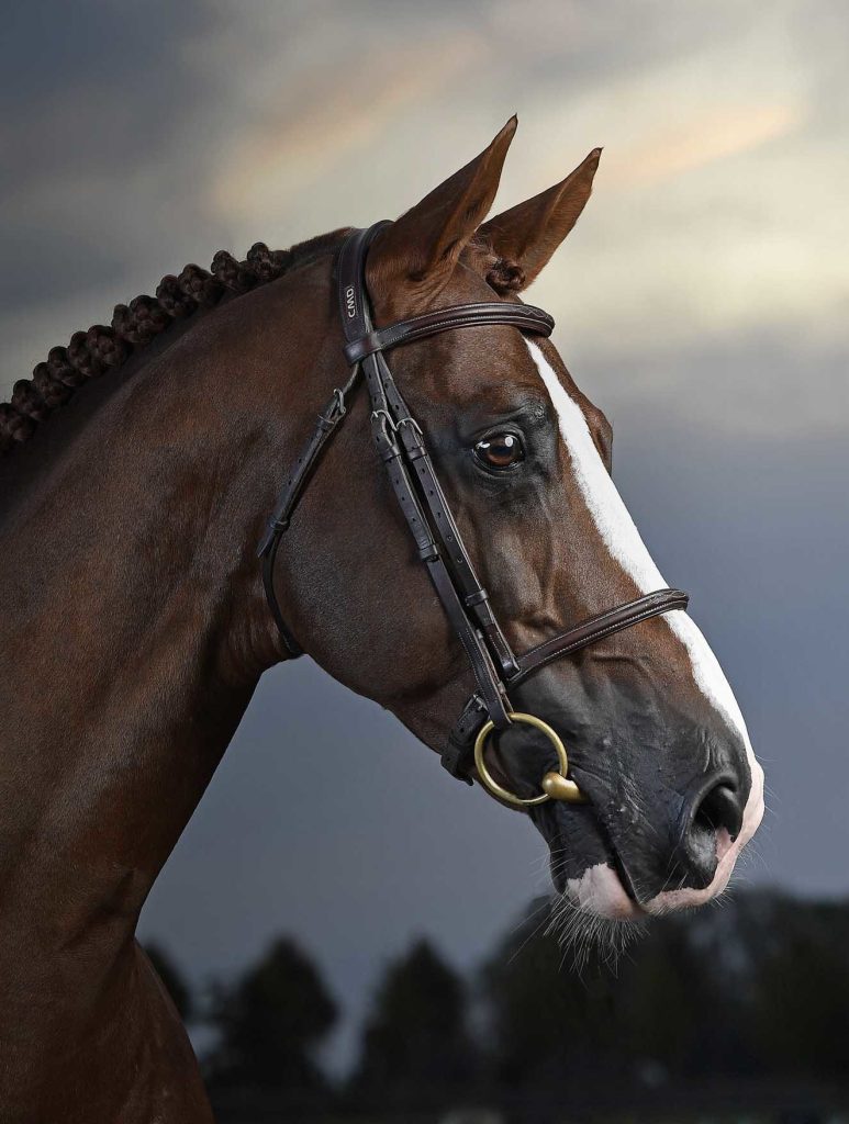 HALIFAX SCUDERIA 1918