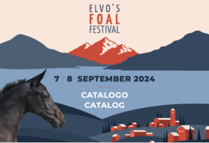 Elvo’s Foal Festival ’24